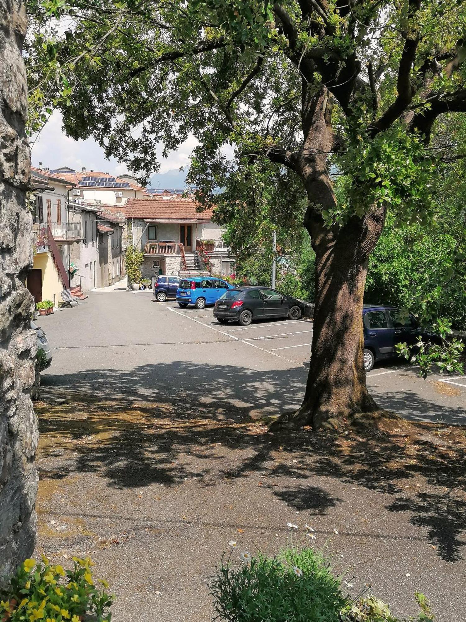 Вилла Forni Rosaia Olivola  Экстерьер фото